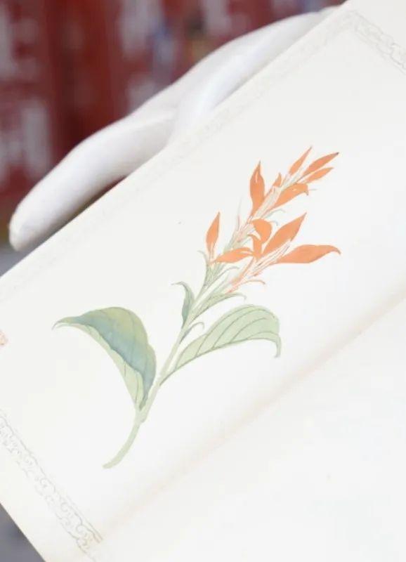 旧书新知传习馆 东城文艺品牌空间与当代文艺创作的薪火相传